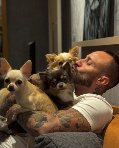 540c7ad2-7986-419c-93d3-4ee9ae623c68