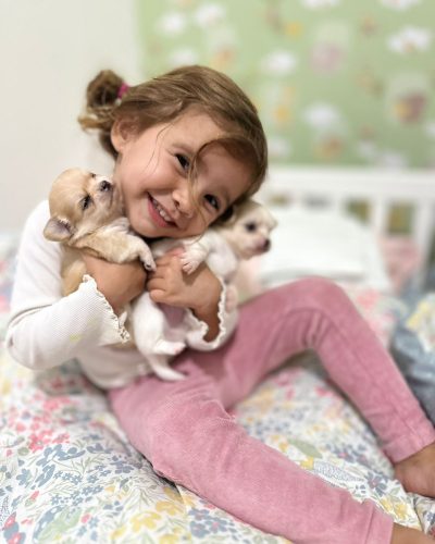 WhatsApp Image 2025-11-18 at 16.09.37 (1)