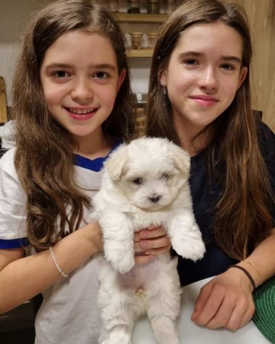 c99cb890-6812-471b-ba0a-1c2757367865