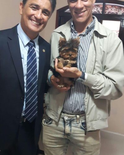 d0bd593f-ad53-43fe-bc0c-a94624e7ea81